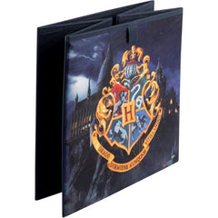 Harry Potter Hogwarts Storage Box 30x30 cm