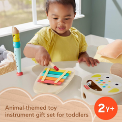 Fisher-Price Musical Gift Set Baby Toys