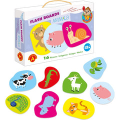 Alexander Flash Boards Animals Learning Cards