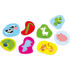Alexander Flash Boards Animals Learning Cards