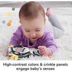Fisher-Price 2-in-1 Rockin’ Tummy Time Otter