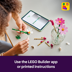 Lego Botanicals Cosmos Flowers Building Set