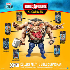 Marvel Legends Series JEAN GREY Figure 1 X-Men Age of Apocalypse (BUILD A FIGURE: SUGAR MAN-HEAD/TORSO)