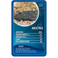 Top Trumps Cards Game - Freshwater Fish
