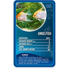 Top Trumps Cards Game - Freshwater Fish