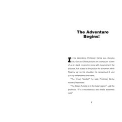 Pokemon Story Quest Hometown Hero Adventure Book