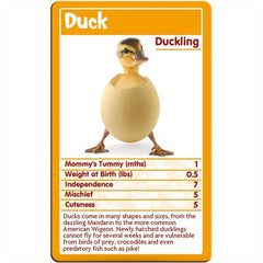 Top Trumps Cards Game - Baby Animals