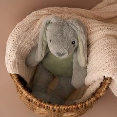 Max & Boo Soft Plush Bunny with Floppy Ears 40cm - Ivy