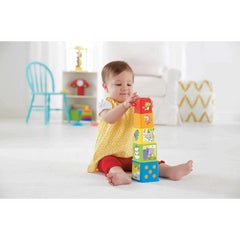 Fisher-Price Stack & Explore Blocks Set of 5