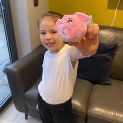 Boxer Gifts When Pigs Fly Fun Family Game