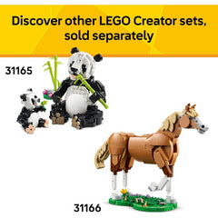 Lego Creator Tropical Toucan 3 in 1 Animal
