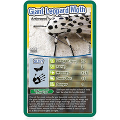 Top Trumps Cards Game - Bugs