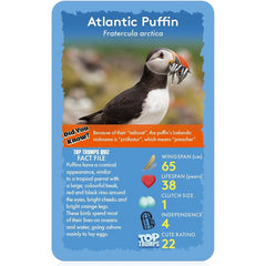 Top Trumps Cards Game - Birds Of The World