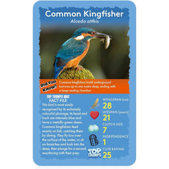 Top Trumps Cards Game - Birds Of The World