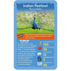 Top Trumps Cards Game - Birds Of The World