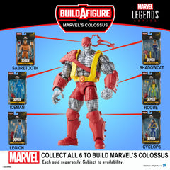 Marvel Legends Series SHADOWCAT Figure 4 X-Men: Age of Apocalypse (BUILD A FIGURE: COLOSSUS-TORSO)