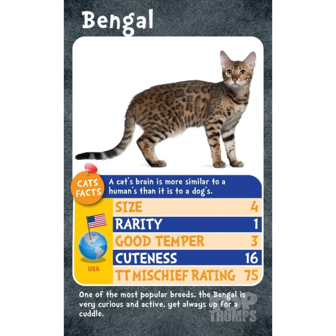 Top Trumps Card Game - Cats 023696 - Maqio