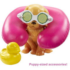 Barbie Spa Doll and Accessories & Pet Puppy