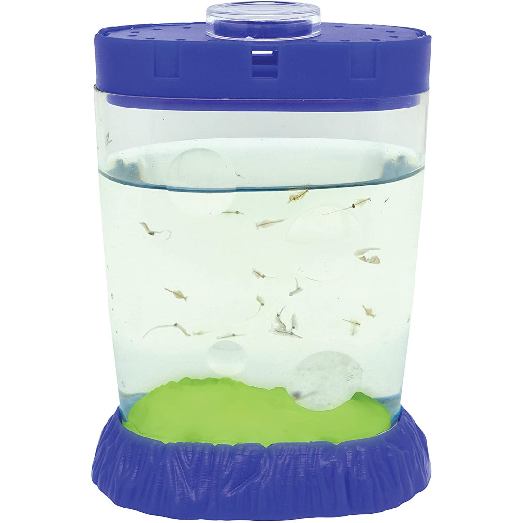 Sea Monkeys Magiquarium Glow in the Dark Pets - Maqio