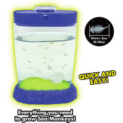 Sea Monkeys Magiquarium Glow in the Dark Pets - Maqio