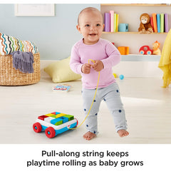 Fisher-Price Pull Along Activity Blocks - Maqio