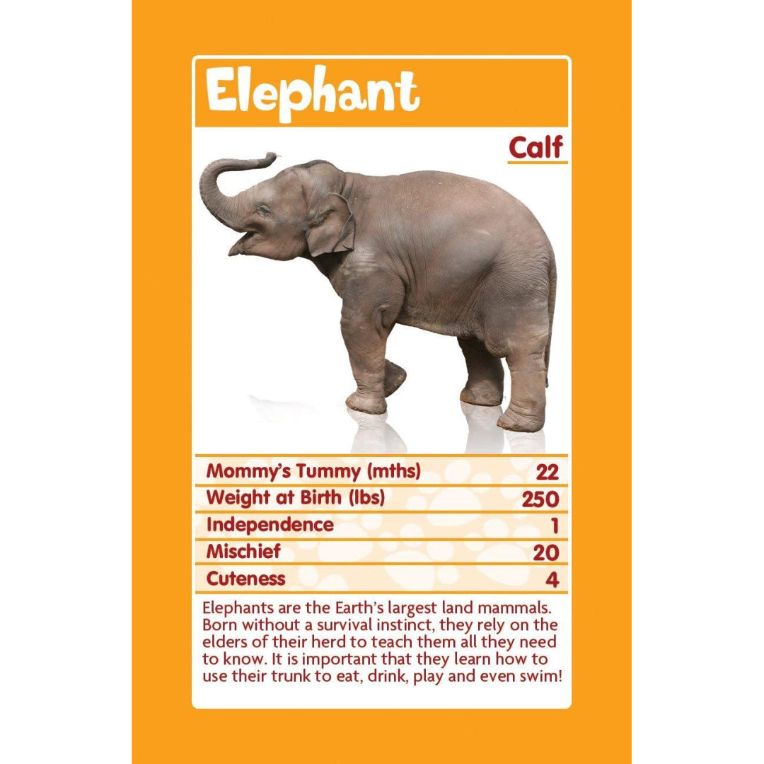 Top Trumps Cards - Baby Animals (18) - Maqio