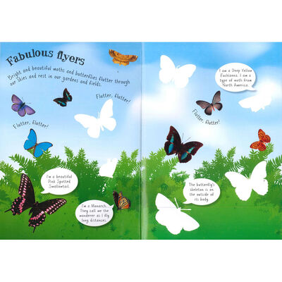 Amazing World Insects Sticker Book - Maqio