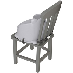Fisher Price Hungry Raccoon Booster Seat GKF91 - Maqio