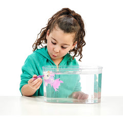 Little Live Pets Lil' Dippers Single Pack - Maqio