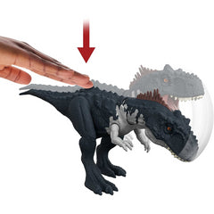 Jurassic World Dominion Roar Strikers Dinosaur Action Figure - Rajasaurus