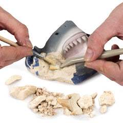 National Geographic Shark Teeth Dig Kit