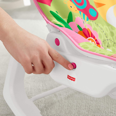 Fisher-Price Infant-to-Toddler Rocker for Toddlers