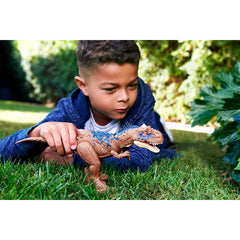 Jurassic World Dominion Road Strikers Action Figure - Rajasaurus