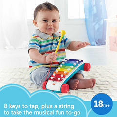 Fisher-Price Pull-Along Basics Gift Set