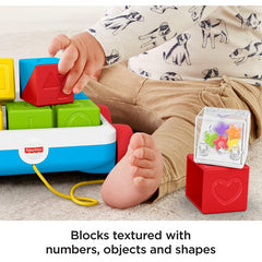 Fisher-Price Pull Along Activity Blocks - Maqio