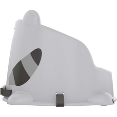 Fisher Price Hungry Raccoon Booster Seat GKF91 - Maqio