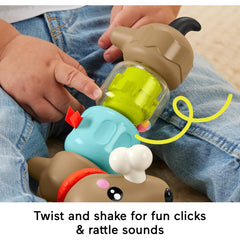Fisher-Price Pets Click & Spin Activity Pup Baby Toy
