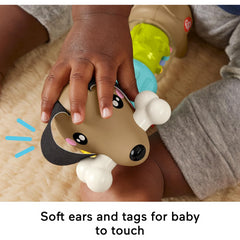 Fisher-Price Pets Click & Spin Activity Pup Baby Toy
