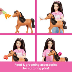 Barbie Mysteries The Great Horse Chase Playset
