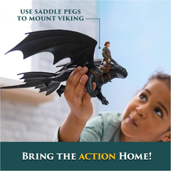 How to Train Your Dragon Toothless and Hiccup Set