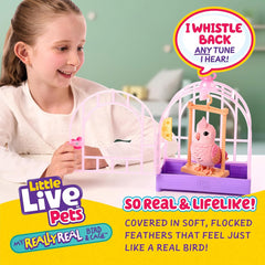 Little Live Pets Rosie Really Real Bird with Cage