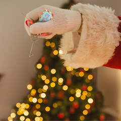 Abeec AMZ-1259 Christmas Jingle Abeec Christmas Jingle Santa's Been Pack