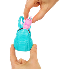 Barbie Family & Friends JJV60 BARBIE BROOKLYN Outdoor Adventures