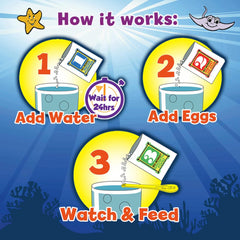 Sea Monkeys Magic Castle Aquarium Kit with Eggs Food and Water Purifier