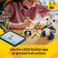 Lego Creator 31165 Panda Family 3 in 1 Animal Set