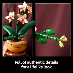Lego Botanicals 10343 Mini Orchid Flower Display Gift Playset