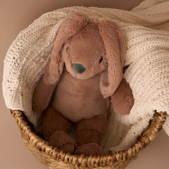 Max & Boo Soft Plush Bunny with Floppy Ears 40cm - Chestnut