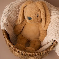 Max & Boo Soft Plush Bunny with Floppy Ears 40cm - Amber