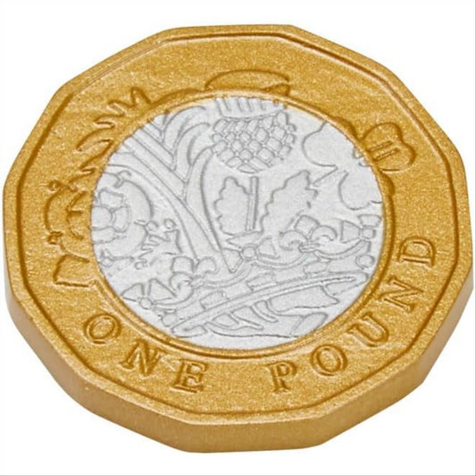 Learning Resources Pound Sterling Coins 1 Pound Learning Pack of 50 Toy