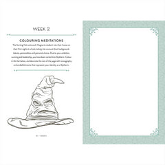Harry Potter Slytherin Ambition A Guided Journal